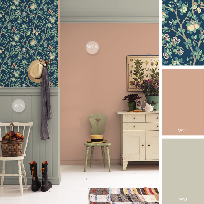 Image de Coloration - Wilma T-001-00088-02