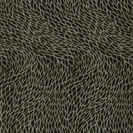 Image de Noir - W0166/02