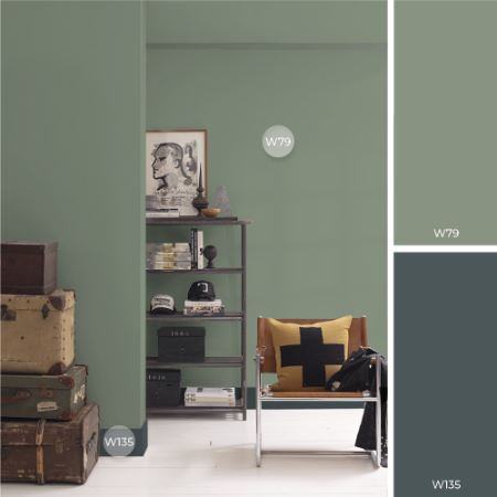 Image de Coloration - Disa F-001-00080-01