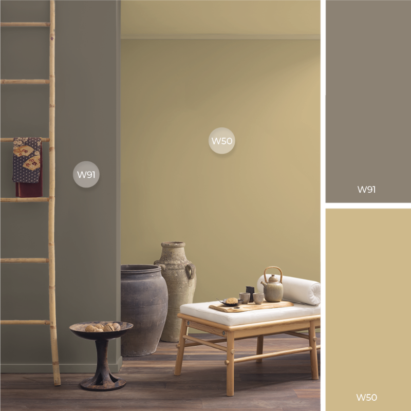 Image de Coloration - Hermine F-001-00100-01