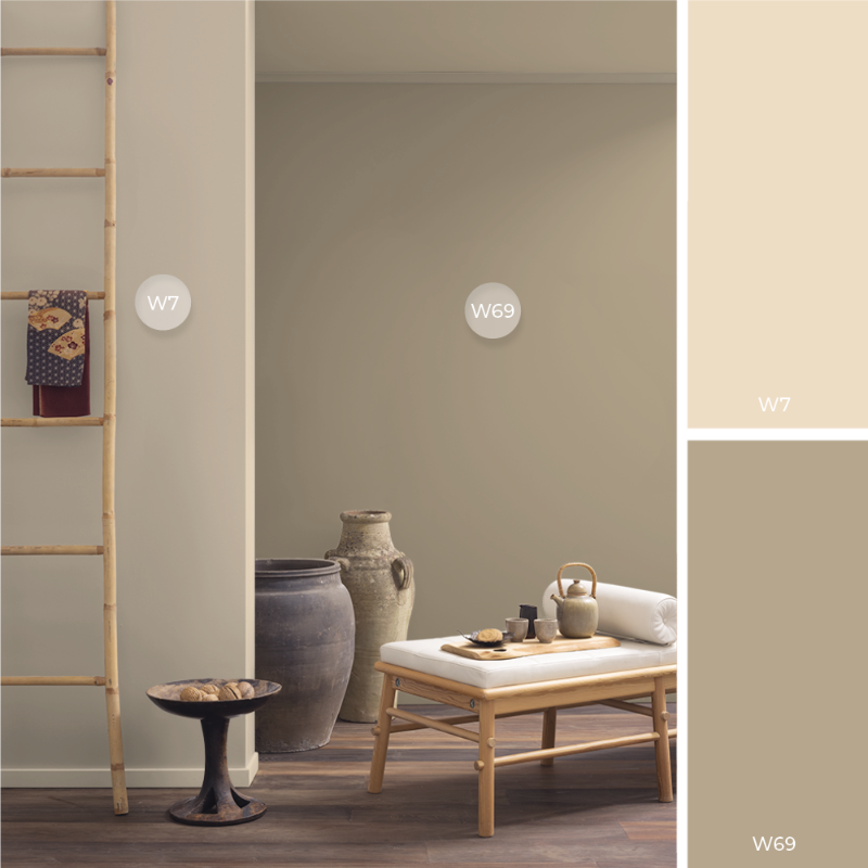 Image de Coloration - Alva F-001-00120-01