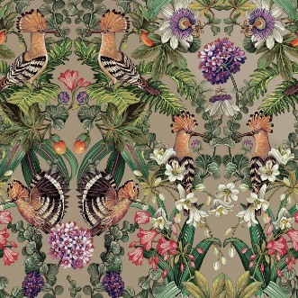 Picture of Marimo Champagne - 91562