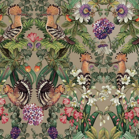 Picture of Marimo Champagne - 91562