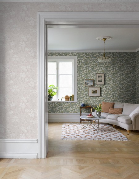 Image de Hava - 22014