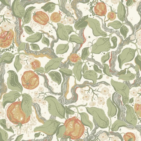 Image de Kart - 22026