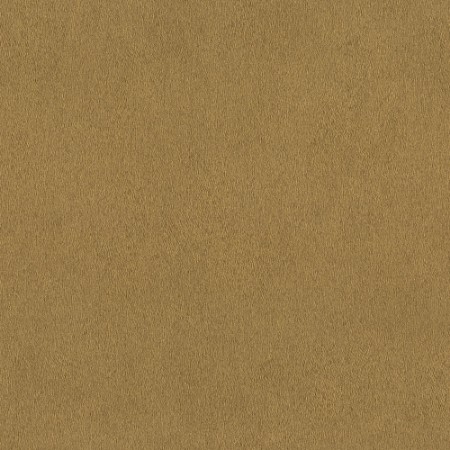 Bild på Serengeti - 751031