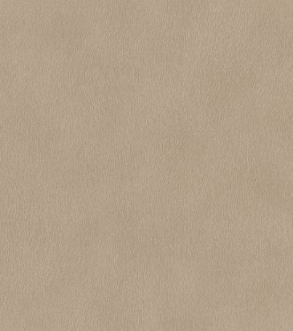 Picture of Serengeti - 751055