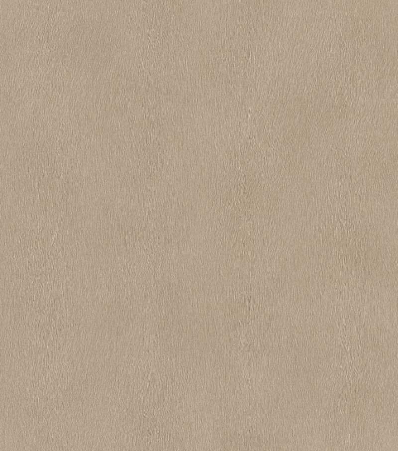 Bild på Serengeti - 751055