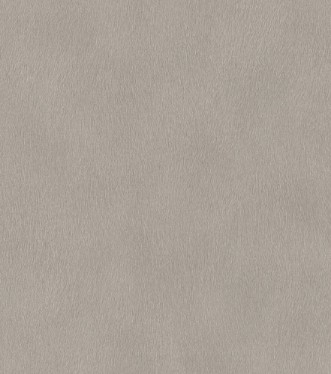 Picture of Serengeti - 751062