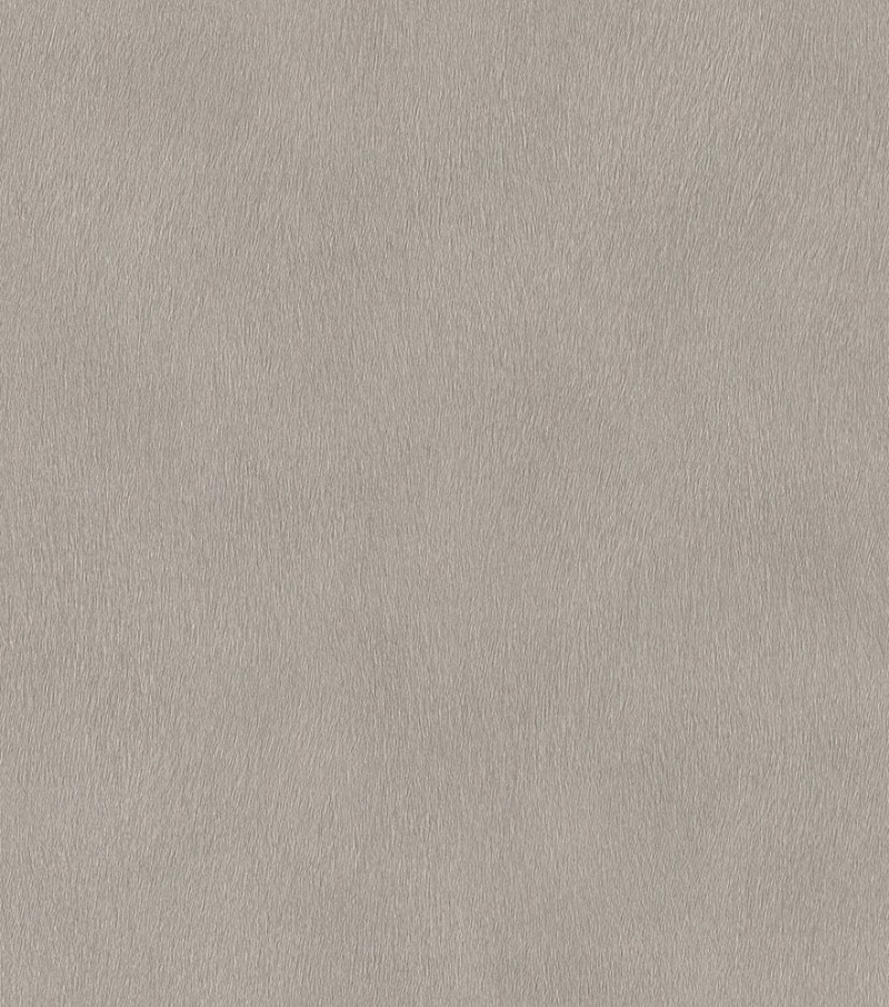 Picture of Serengeti - 751062