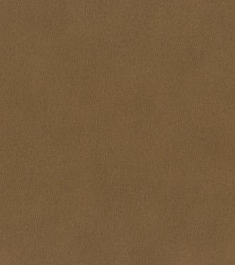 Picture of Serengeti - 751079