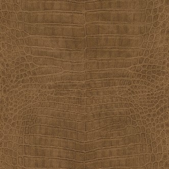 Bild på Serengeti - 751314