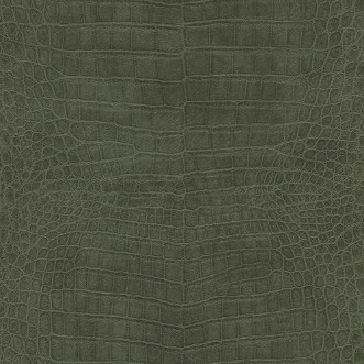 Picture of Serengeti - 751352