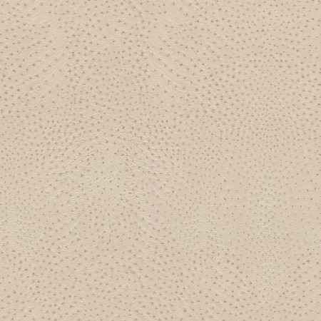 Bild på Serengeti - 751512