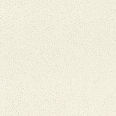 Bild på Serengeti - 751536