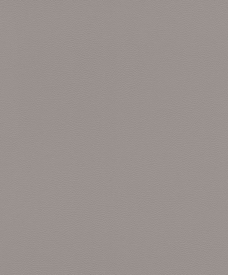 Picture of Serengeti - 752649