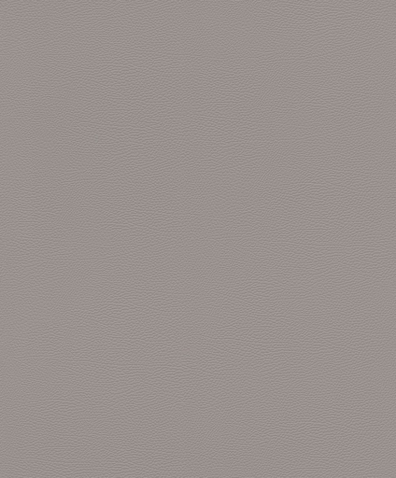 Picture of Serengeti - 752649