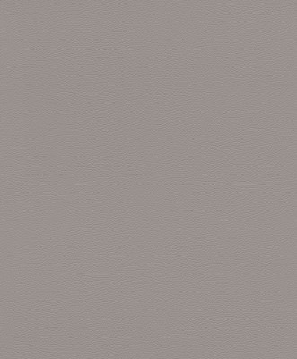 Picture of Serengeti - 752649