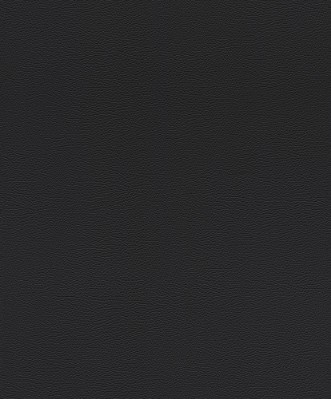 Picture of Serengeti - 752656