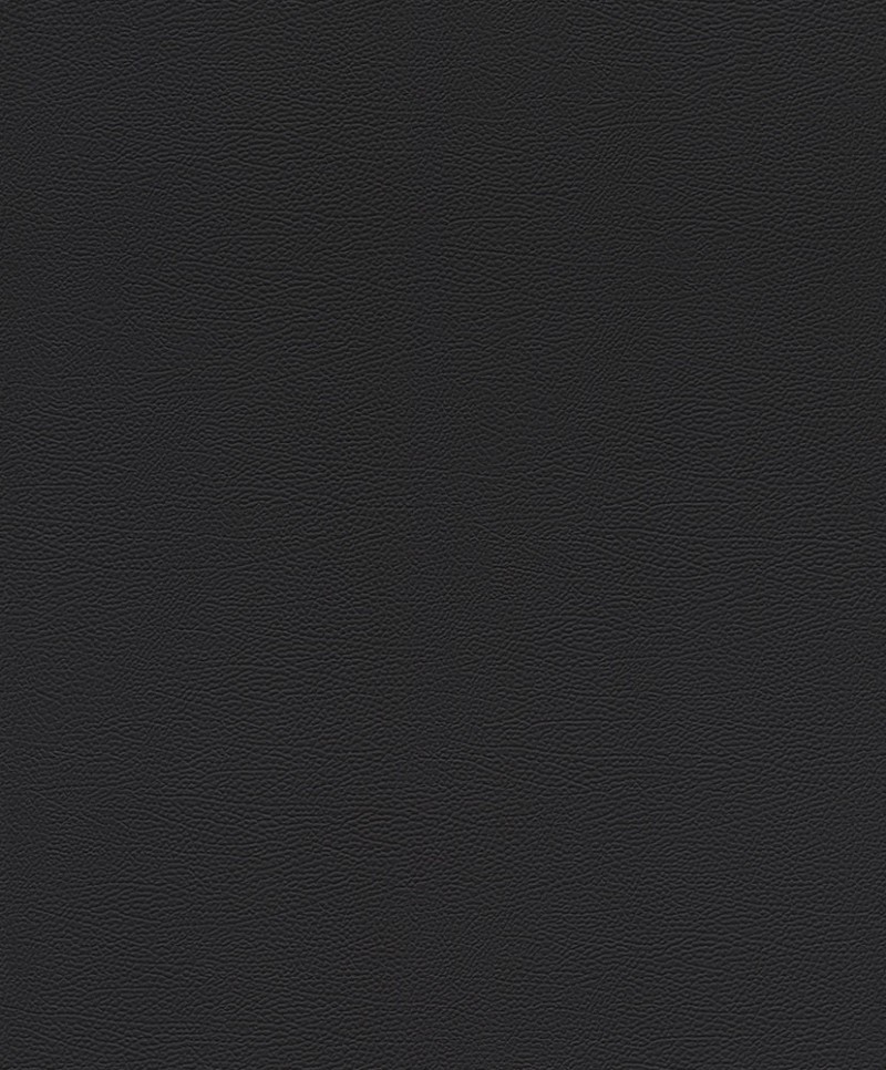 Picture of Serengeti - 752656