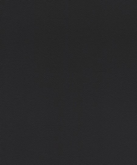 Picture of Serengeti - 752656