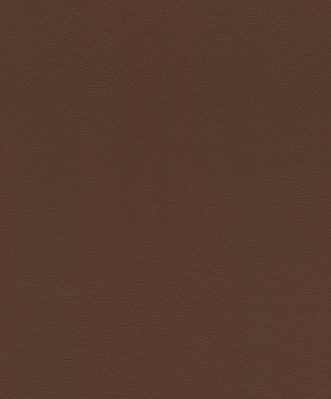 Picture of Serengeti - 752663