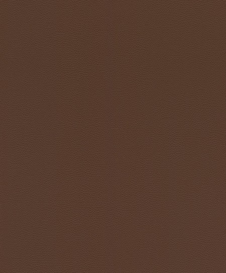 Picture of Serengeti - 752663