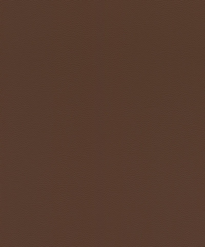 Picture of Serengeti - 752663