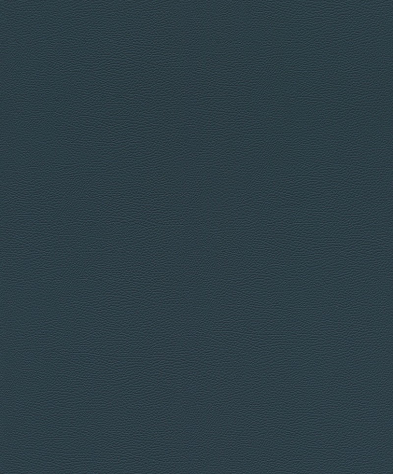 Picture of Serengeti - 752670