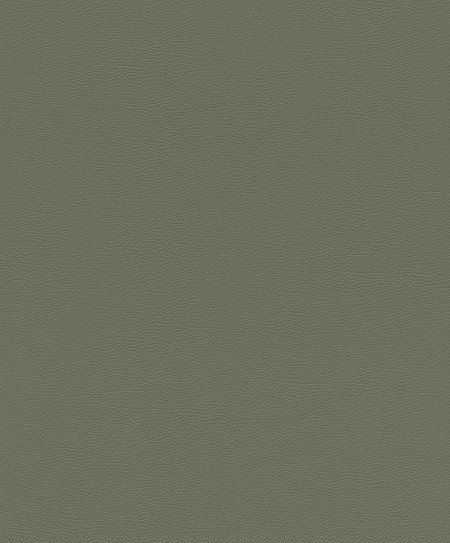 Picture of Serengeti - 752687