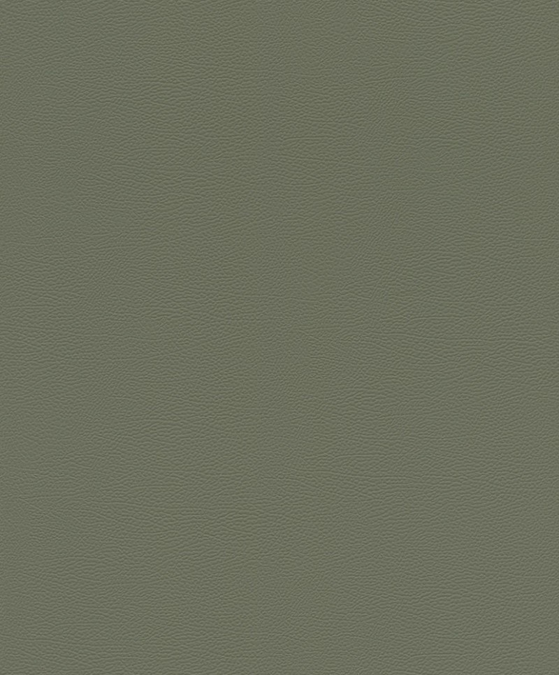 Picture of Serengeti - 752687