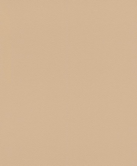 Picture of Serengeti - 752694