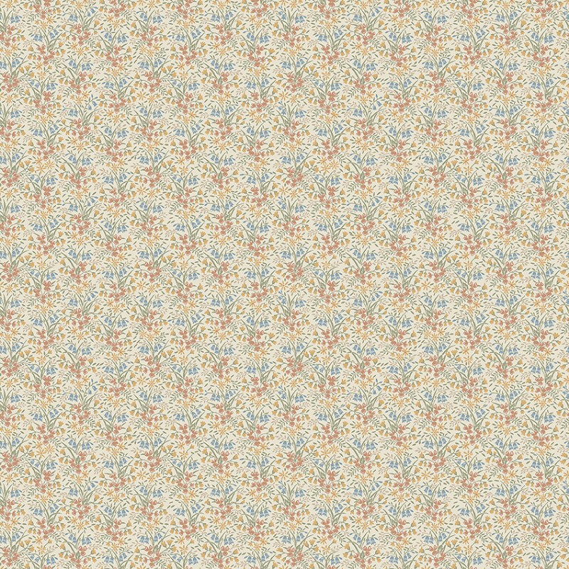 Picture of Bella - 4815