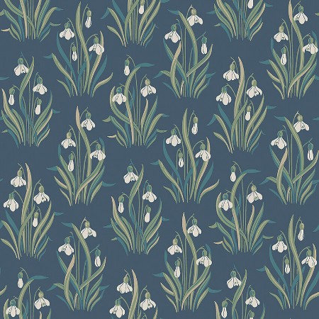 Image de Snödroppe - 4836