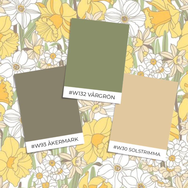 Picture of Påsklilja - 388-01