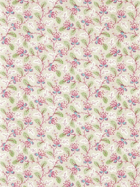 Image de Dallimore Wild Rose - DABW217234