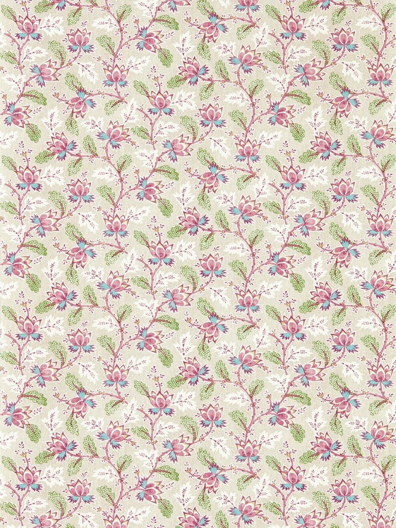 Afbeeldingen van Dallimore Wild Rose - DABW217234