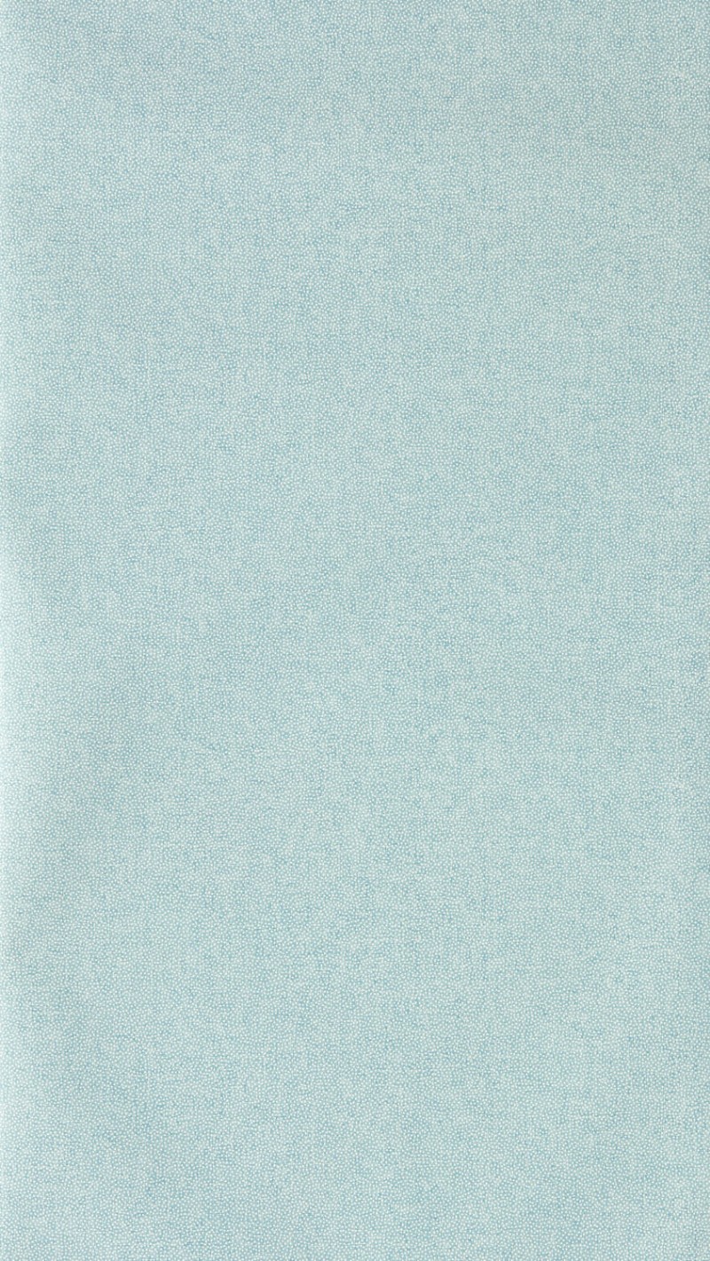 Bild på Sessile Plain Indigo - DABW217247