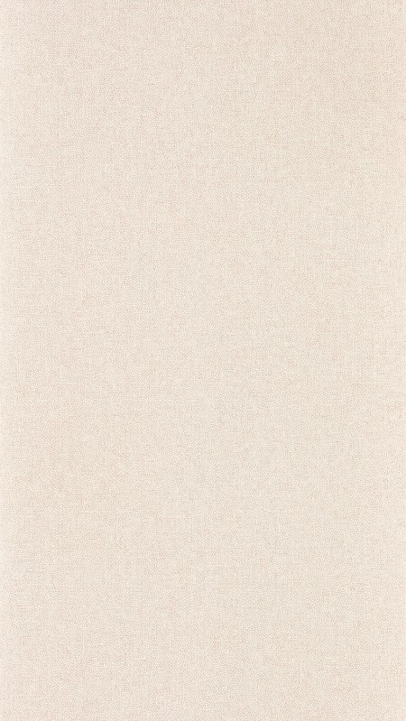 Image de Sessile Plain Wild Rose - DABW217244