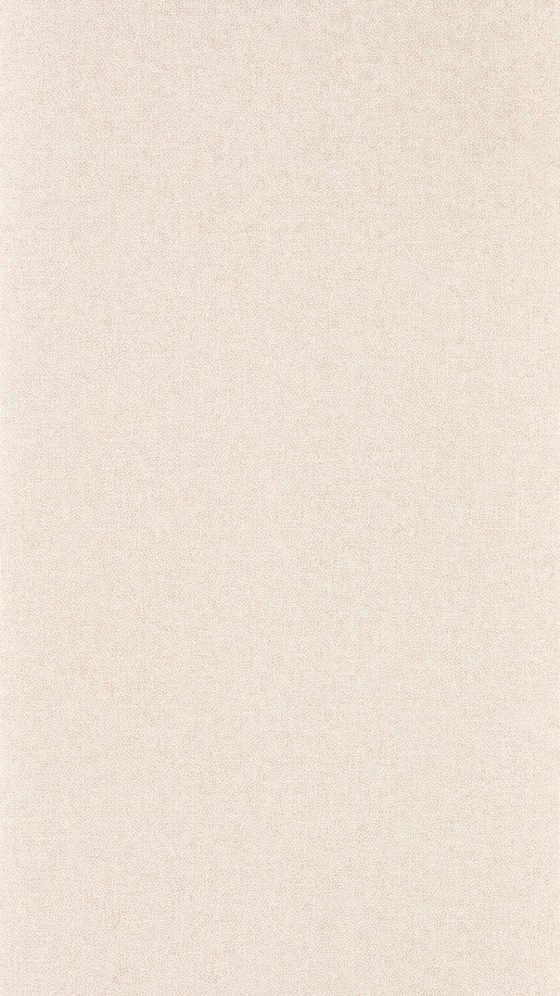 Afbeeldingen van Sessile Plain Wild Rose - DABW217244