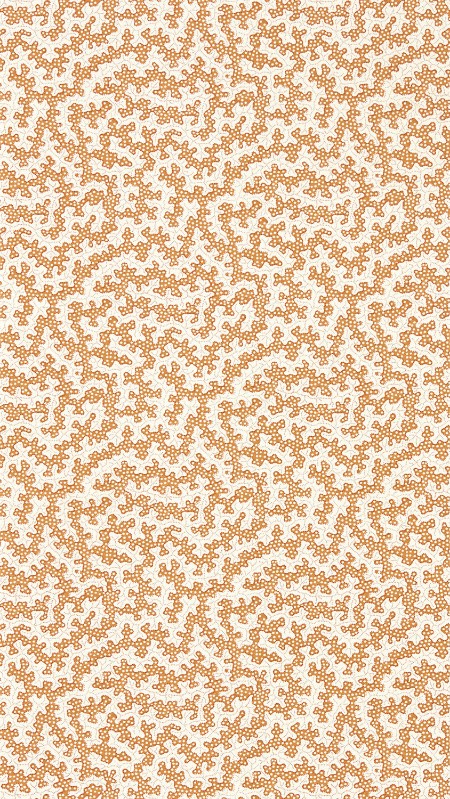 Image de Truffle Rowanberry - DABW217242