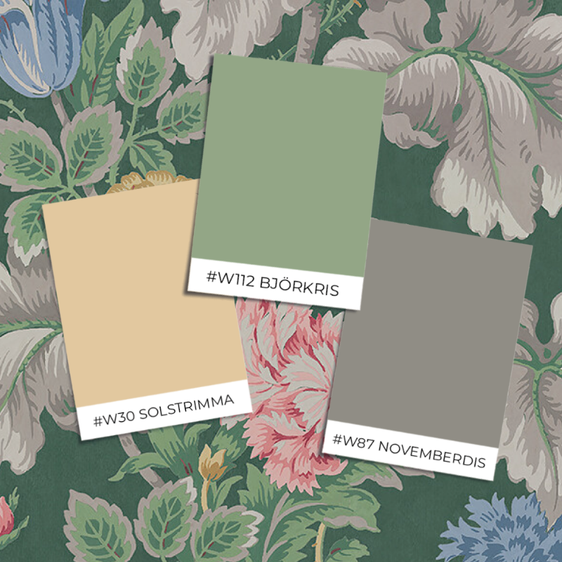 Image de Carnation Garden - 4834