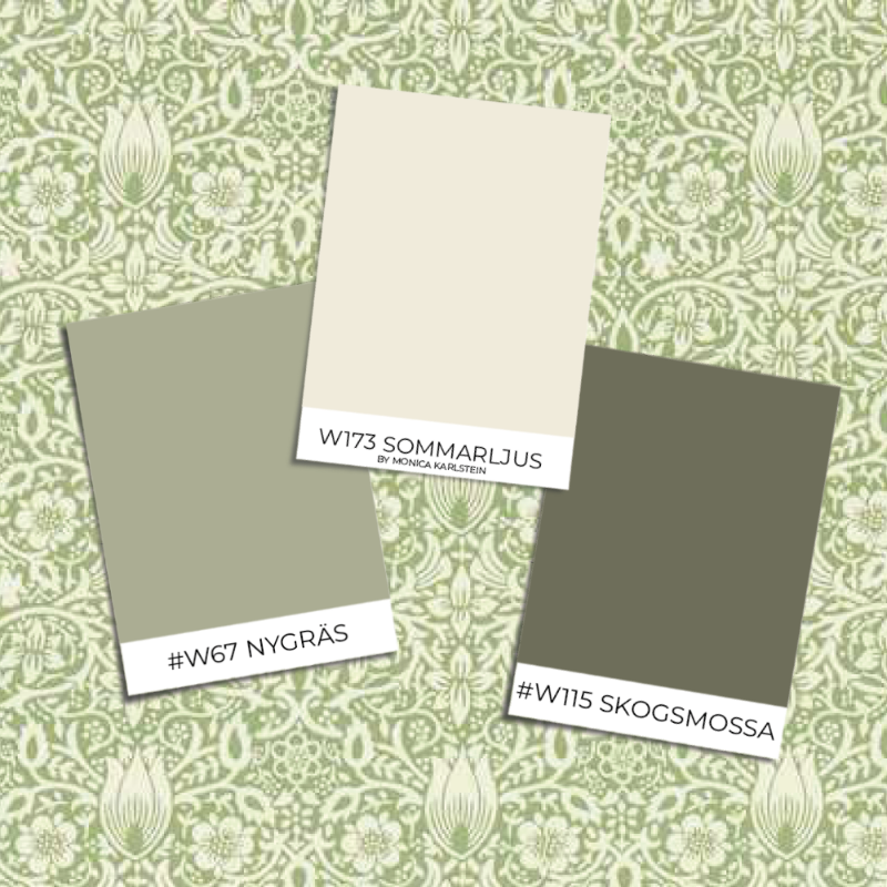 Image de Borage Leafy Arbour - MEWW217198