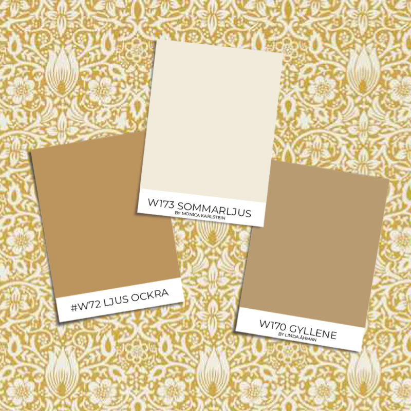 Picture of Borage Sunflower - MEWW217197