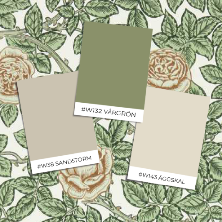 Image de Rambling RoseLeafy Arbour/Pearwood - MEWW217208