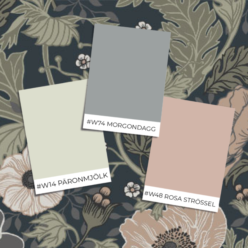 Anemone - 44103 paveikslėlis