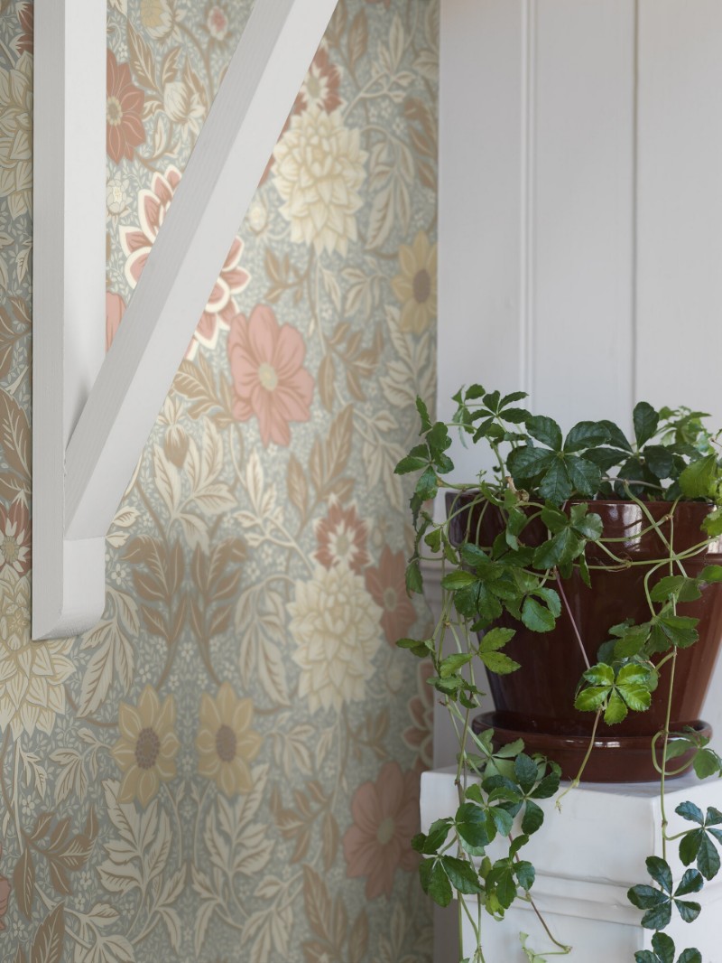 Picture of Dahlia Garden - 7692