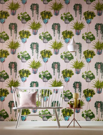 Picture of Houseplant Ballet Slipper - GRA50110W