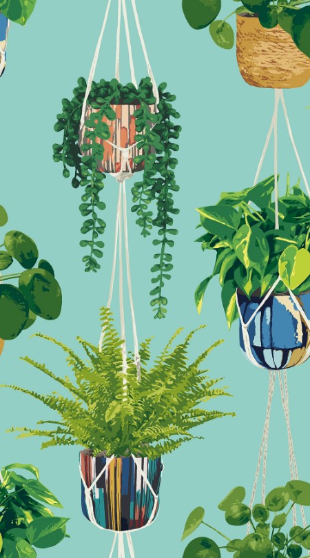 Picture of Houseplant Cerulean Twist - GRA50108W