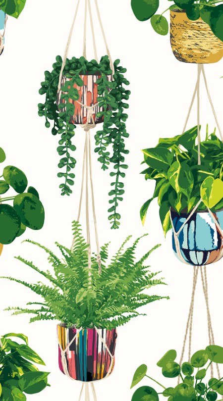 Picture of Houseplant Parakeet - GRA50112W